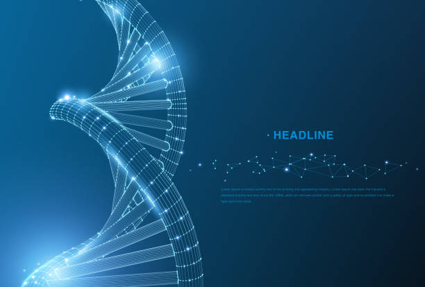 Dna Abstract 3d Polygonal Wireframe Dna Molecule Helix Spiral On Blue  Medical Science Genetic Biotechnology Chemistry Biology Gene Cell Concept  Vector Illustration Or Background Vector Stock Illustration - Download  Image Now - iStock