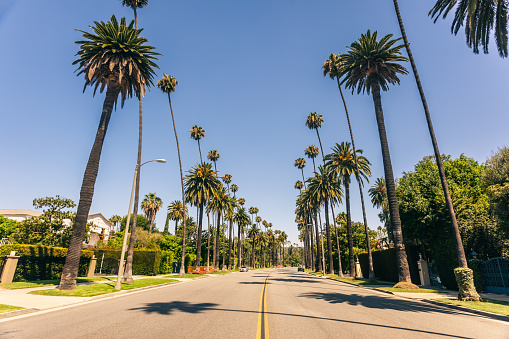 Beverly Hills street