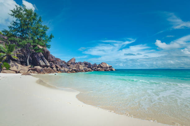 istock tropical beach, seychelles, africa 1090491006