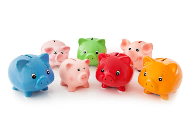 istock Piggy Banks against white background 1090491908