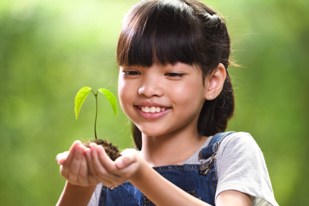 ein mädchen, eine junge pflanze in ihren händen hält - growth new life seedling child stock-fotos und bilder