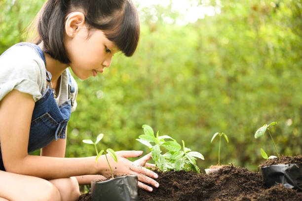 istock A girl planting young plants on soil 1090503096