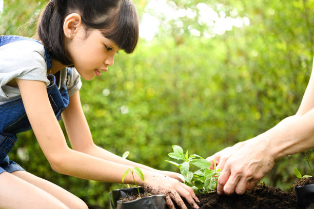 istock A girl planting young plants on soil 1090503148