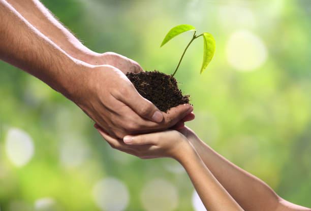 istock Two hands holding together a green young plant 1090504444