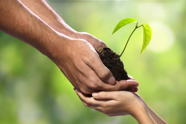 istock Two hands holding together a green young plant 1090504534