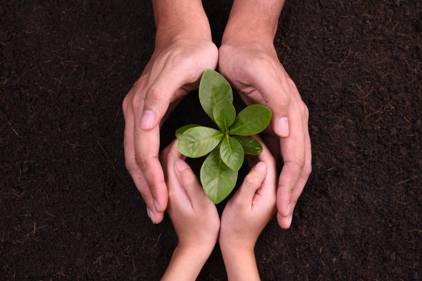 istock People's hands cupping protectively around young plant 1090504538