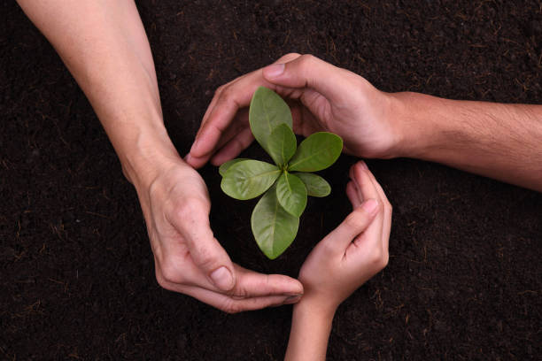 istock People's hands cupping protectively around young plant 1090504554
