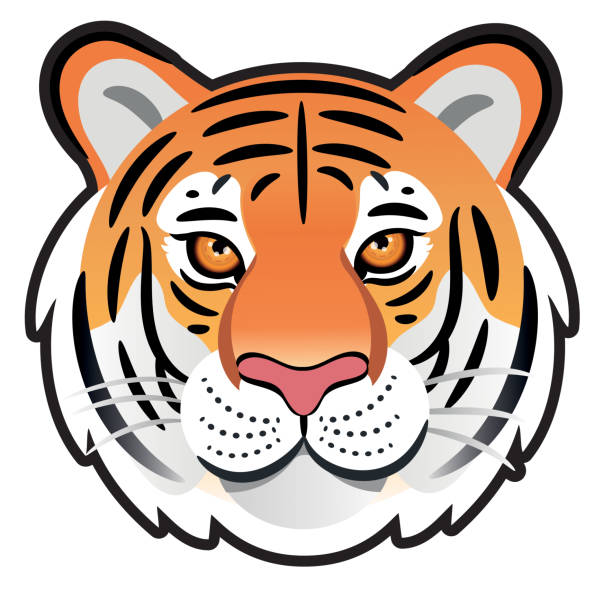 타이거 - tiger animal sumatran tiger endangered species stock illustrations