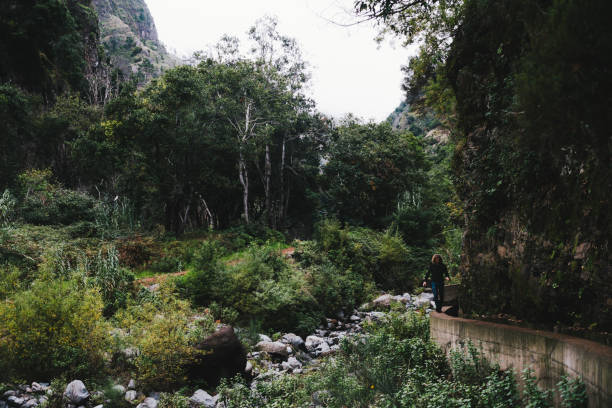 istock Madeira landscapes,  Nova and Moinho levada walk 1090512066