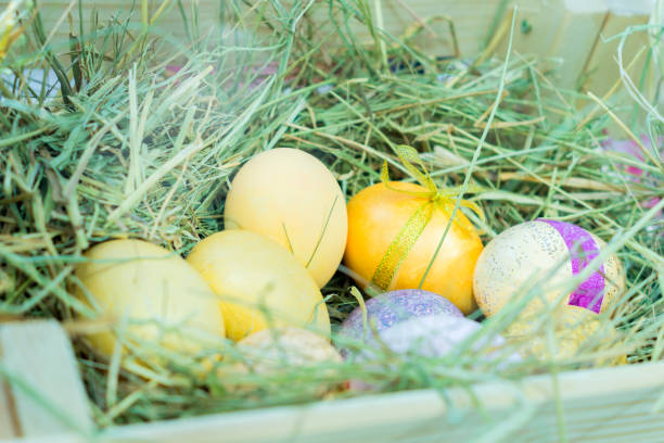 ninho de ovos de páscoa coloridos pintados no feno. decoração de festa de páscoa - eggs animal egg celebration feather - fotografias e filmes do acervo