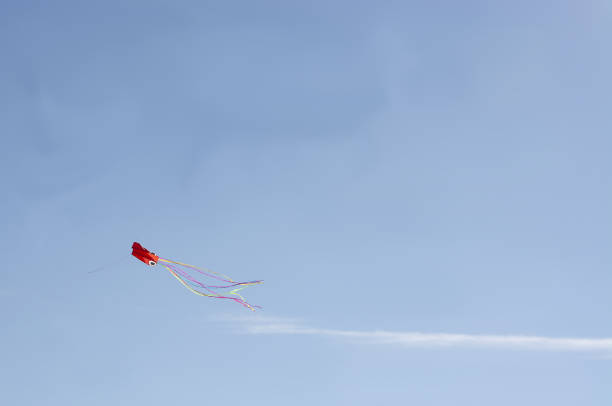 istock Red kite flying high against blue sky 1090523356