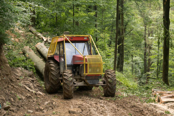 istock A tractor with wood goes through the forest 1090523590