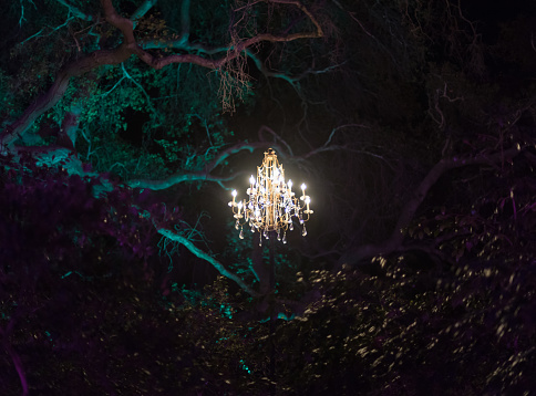 Enchanted forest - brightly lit chandelier magically hovering in the middle of the forest