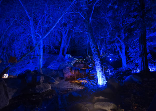 istock Enchanted forest - beautifully illuminated creek at night 1090537934