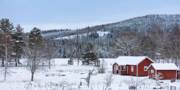 冬のスウェーデンの田舎 - sweden cottage winter snow ストックフォトと画像