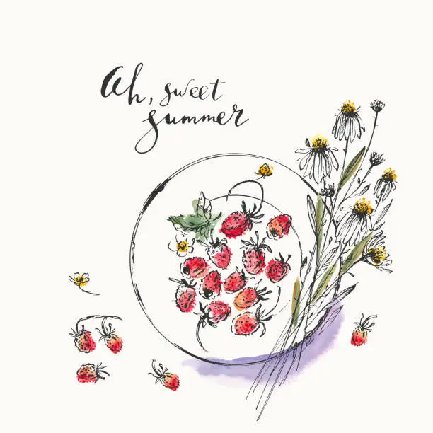 Vector illustration of Summer ink and watercolor stain illustration. Wild strawberries on a plate and daisy bouquet top view.