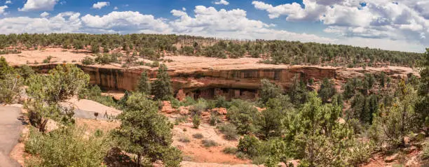 Mesa Verde National Park is in southwest Colorado. It's known for its well-preserved Ancestral Puebloan cliff dwellings, notably the huge Cliff Palace. The Chapin Mesa Archeological Museum has exhibits on the ancient Native American culture. Mesa Top Loop Road winds past archaeological sites and overlooks, including Sun Point Overlook with panoramic canyon views. Petroglyph Point Trail has several rock carvings.