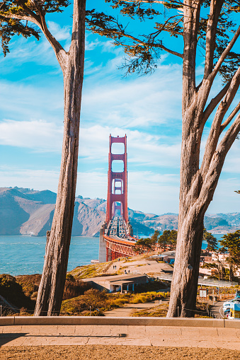 Classic view of famous Golden Gate Bridge framed by old cypress trees at scenic Presidio Park on a beautiful sunny day with blue sky and clouds, San Francisco, California, USA