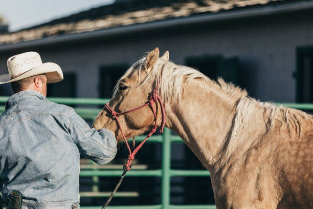 istock Back view of a cowboy with his horse. 1090582310