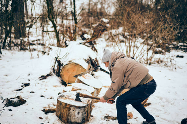 istock Senior man working in a personal lumber yard 1090590658