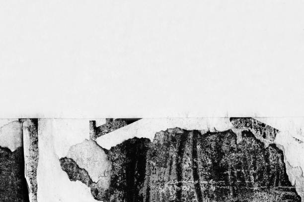 istock Blank white black old ripped torn paper crumpled creased posters grunge textures backdrop backgrounds placard 1090592484