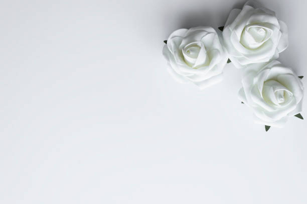 istock Top view of three white roses as a decoration with copy space for valentines day. 1090593116