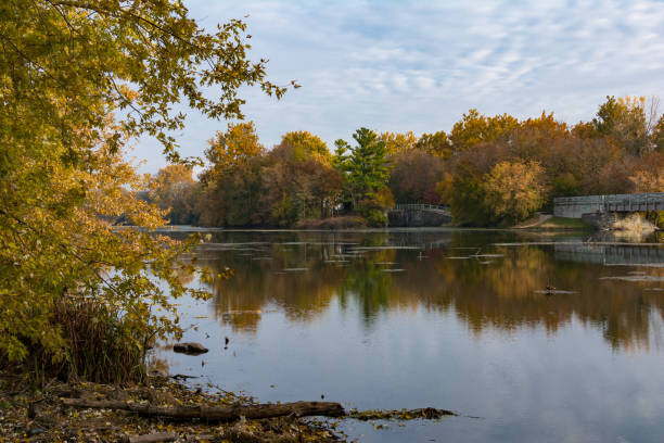 wschód słońca nad rzeką dupage - forest preserve zdjęcia i obrazy z banku zdjęć