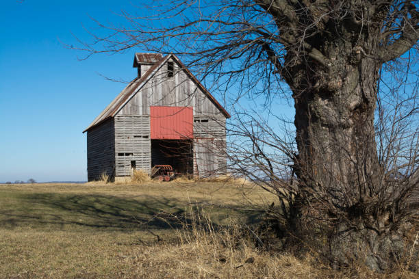 istock Wooden barn in rural Illinois 1090598802