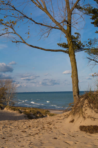 istock Overlooking Lake Michigan 1090599032