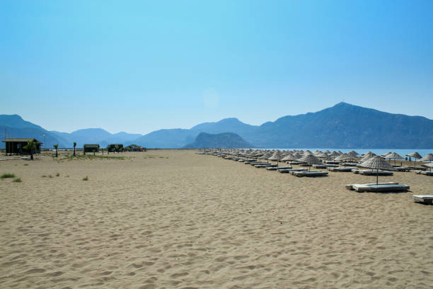 istock Dalyan Iztuzu (Caretta caretta) Beach, Dalyan, Mugla, Turkey 1090600552