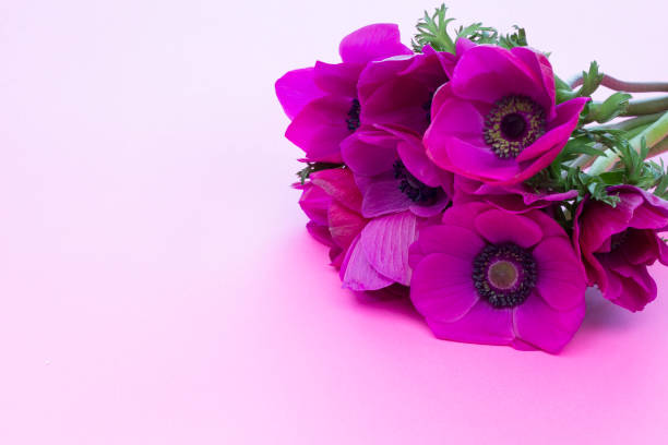 istock bouquet of anemone 1090658788