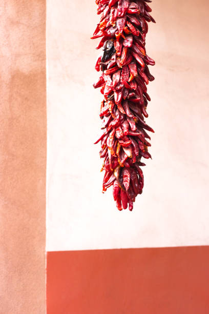 New Mexico: Chili pepper ristra hangs near a colorful wall. Copy space available.