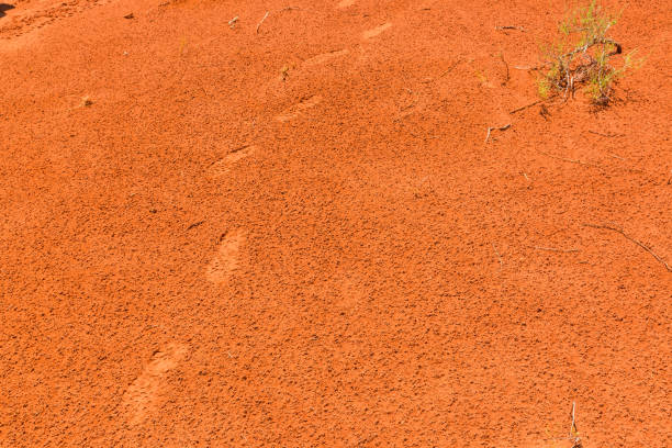 istock Footstep and footprints on the sand 1090676674