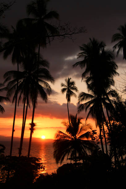 istock Sunsets in Costa Rica- on the beach at dusk 1090682196