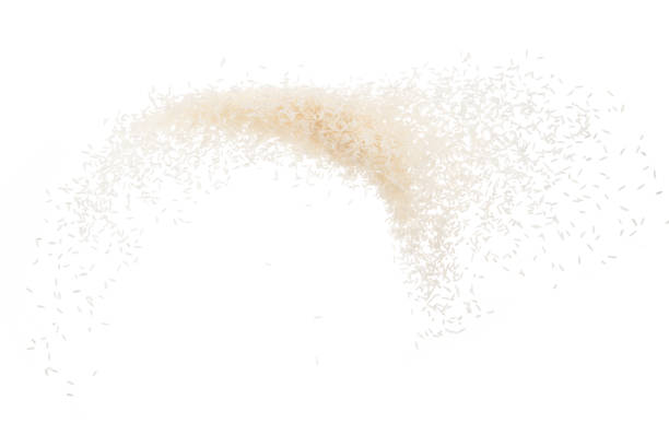 istock Stop motion white rice splash or explode flying in the air  isolated on white background food object design 1090693894