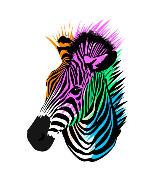 istock Zebra head. Wild animal, Strip black and colorful. 1090697720