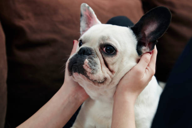 istock Young Women With Dog 1090709334