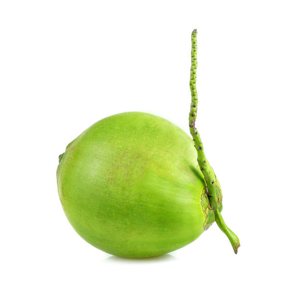 istock Coconut fruits, Green coconut on white background 1090711104