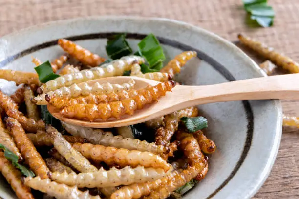 Photo of Bamboo edible worm insects crispy or Bamboo Caterpillar in a ceramic bowl on a wood table. The concept of protein food sources from insects. It is a good source of protein, vitamin, and fiber.