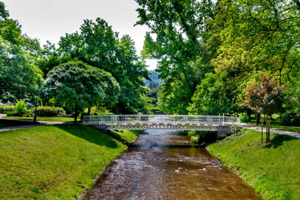 istock Bridge over a canal in a park in Heidelberg. 1090726782