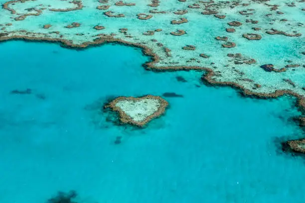 Heart Reef in the Great Barrier Reef in Queensland, Australia.