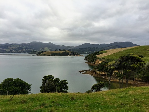 The beautiful country side and a view of Latham Bay on the Otago Peninsula, outside of Dunedin, New Zealand.  The Otago Peninsula has beautiful views of the country side and the ocean coastline.