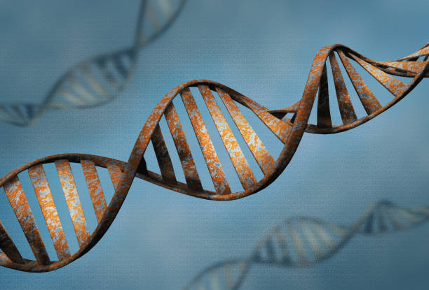 istock Biotechnology concept of old DNA and protein letter background, rust DNA and protein sequence 3d render - Illustration 1090753684