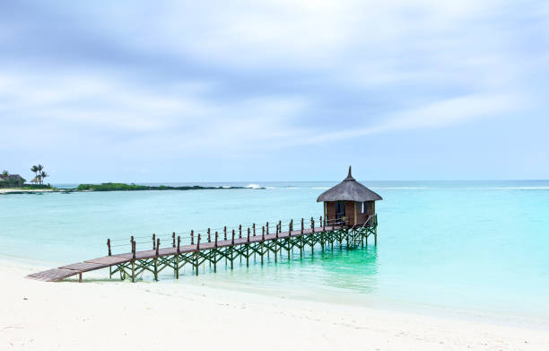 istock wooden pontoon on a hydillic beach 1090759526