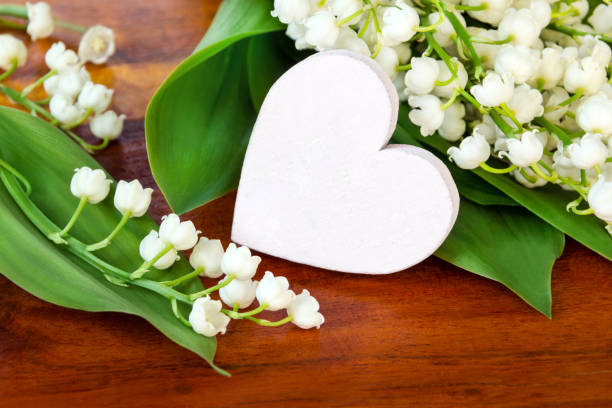 istock Lily of the valley and white heart 1090765724