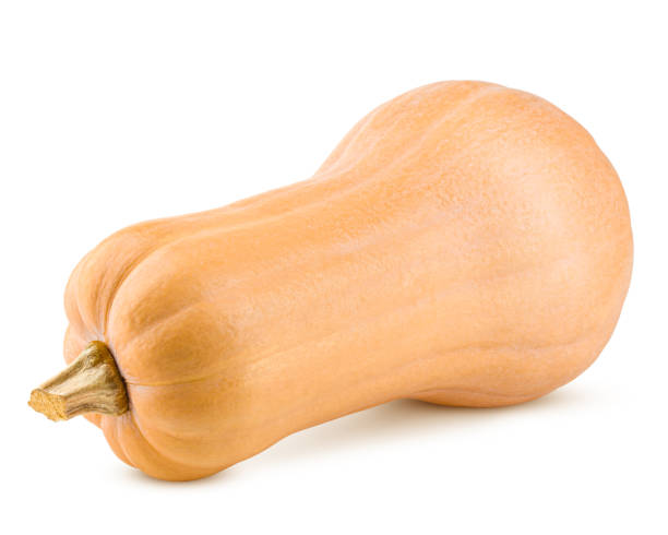 istock pumpkin butternut squash isolated on white background, clipping path, full depth of field 1090769678