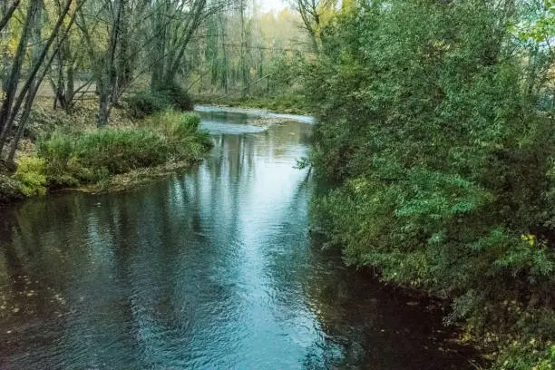 river when passing through town with leafy margins in autumn