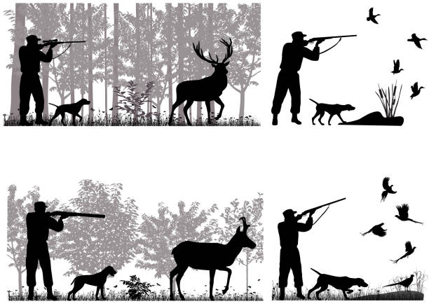 Hunter Man with dog is hunting for deer, pronghorn, ducks and pheasants wildlife trade stock illustrations