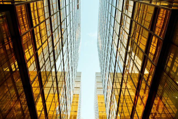 istock Modern glass skyscrapers perspective in the city 1090785498