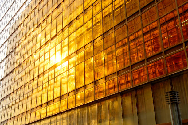 istock Modern glass skyscrapers perspective in the city 1090785536